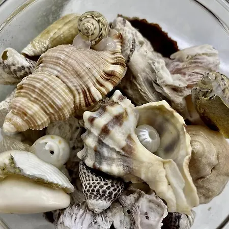 Iris Apartamento Appartamento Arrieta (Lanzarote)