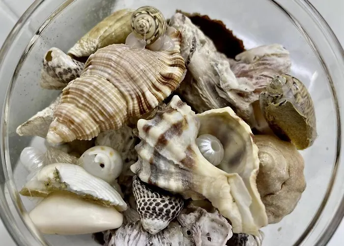 Iris Apartamento Appartamento Arrieta (Lanzarote)